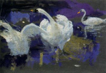 Ignacio Diaz Olano : Swans